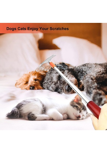 Kadınlar Ve Erkekler İçin Uzun Ahşap Saplı Teleskopik Sırt Kaşıyıcı, Masaj Silindiri, Çelik Pençe, Baş Ve Yüz İçin Taşınabilir Sırt Masaj Aleti Çok Renkli