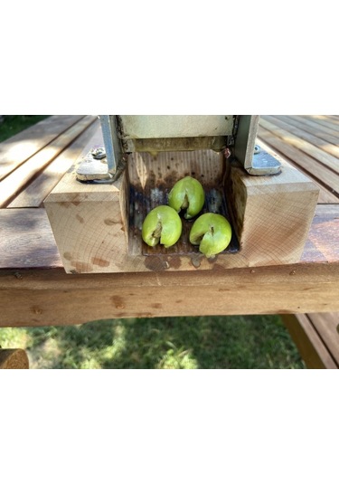 Kadıoğlu C2 Zeytin Kırma Aleti