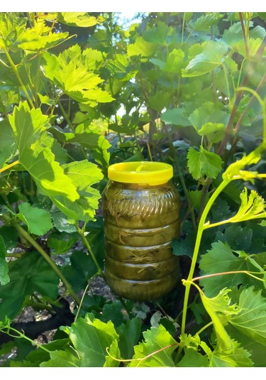 Tokat Salamura Asma Yaprağı 3 Kg.