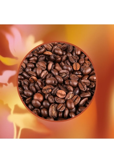 Mim And More Caramelized Cookie Coffee Karamelize Kurabiye Aromalı Kahve Çekirdek Kahve 200 G