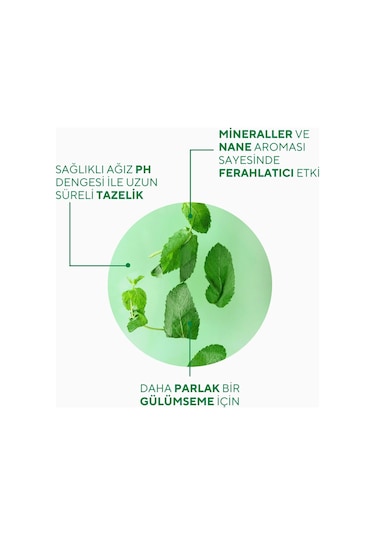 The Ceel Fresh Mint Ferahlatıcı Diş Macunu 75 gr – Nane Aromalı, Günlük Koruma