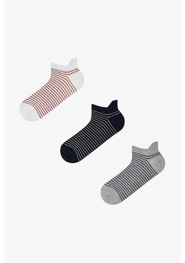 Penti Erkek Renkli Color Stripe 3 3'lü Patik Çorap