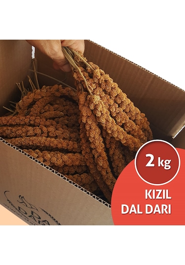 Kızıl Dal Darı 2 KG