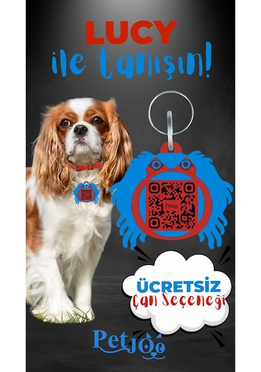 Petjoo 11.Lucy Mavi-Kırmızı Qr'lı Köpek Künyesi
