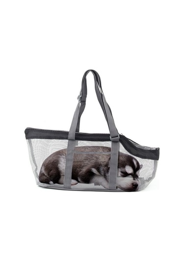 Dm Cbtx Pttie Baggie Panoramik Nefes Alabilen Köpek Taşıma Çantası 0901b Gri Mavi