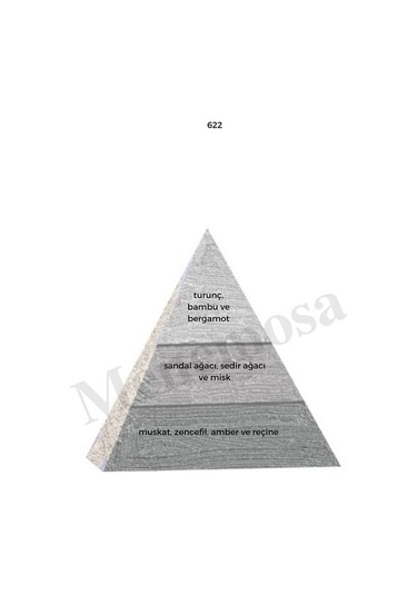 Bargello 622 Erkek Parfüm EDP 50 ML Woody Mnms50622 Aromatik