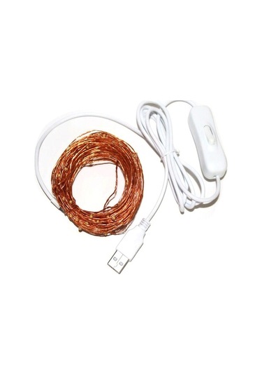 Pazly Usb Peryıldızı Işıklı Şerit 10m 100led 50 Klips Bakır Tel Sıcak Beyaz Noel Dekorasyon