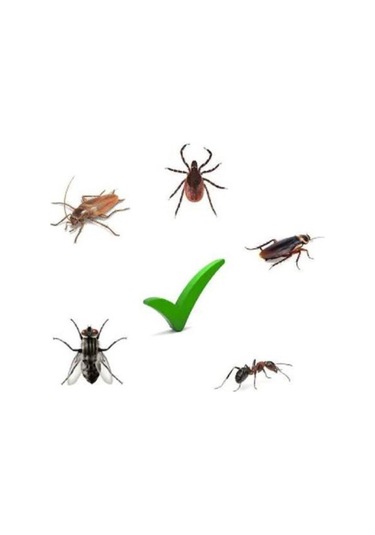 Karınca Ve Haşere Kovucu İlaç 5 Litre