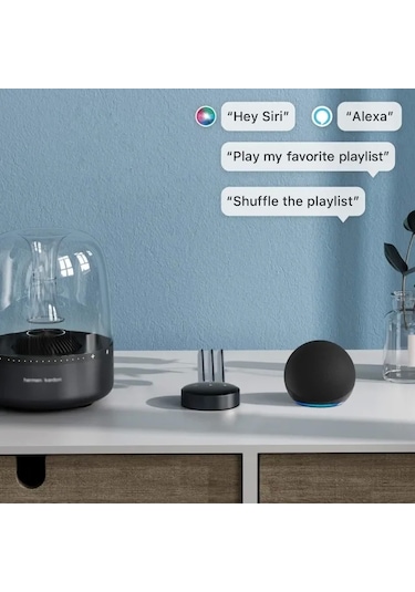 Wiim Mini Airplay2 Kablosuz Ses Aktarıcı