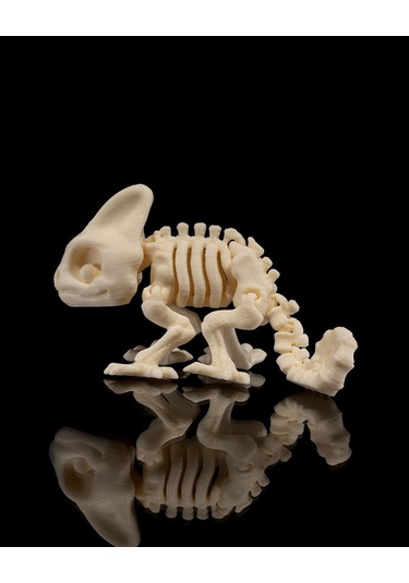 Hareketli Bukalemun İskeleti Oyuncak-143