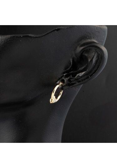 Orta Boy 14 Ayar Altın Kalp Halka Küpe Kpdl35301