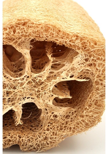 Ahşap Saplı Doğal Kabak Lifi Sırt Fırçası 8 x 40 CM
