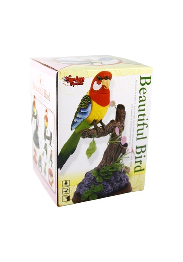 Vardem Kutulu Kalemlikli Papağan