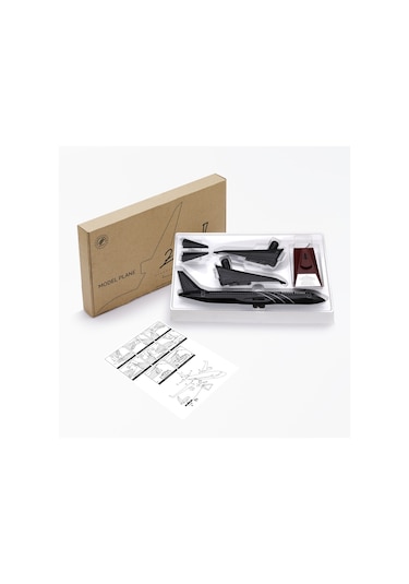 Zekupp - Maket Uçak - Boeing 737-800 1/100 - SİYAH ÖZEL TASARIM Model Uçak