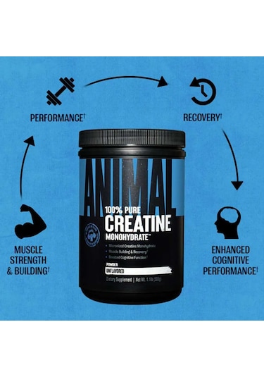 Universal Animal Creatine Monohydrate Monohidrat 500gr - 100 Serv