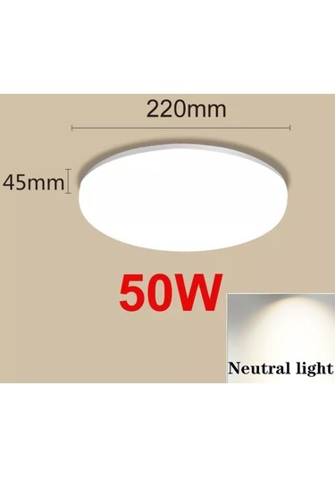 Modern Led Tavan Işıkları 50w 30w 20w 15w Tavan Lambaları 220v 230v 50w Neutral Light