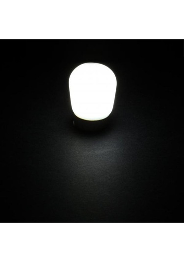 Ct-4261g 2w Buzdolabı Ampul 3200k E14 Duy Gün Işığı E14 Led Ampul 2 Watt Yok
