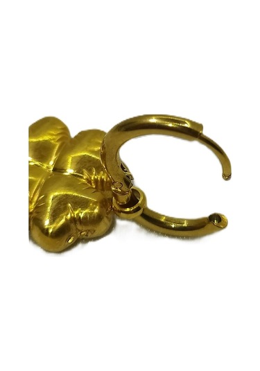 Kadın Sallantı Çelik Küpe - Kskü-08 Çok Renkli