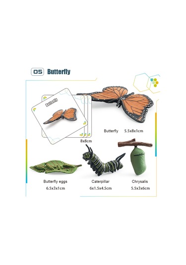 Yifomall 25 Adet Hayvan Büyüme Döngüsü Modeli + 25 Kart - Çocuklar İçin Doğa Bilgisi Eğitici Öğretim Aracı Kelebek, Kurbağa, Arı, Böcek, Deniz Kaplumbağası, Yavru Penguen