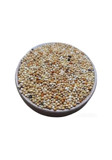 Karışık Kuş Yemi 500 G