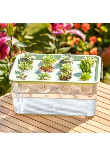 Suntek Hidroponik Yetiştirici Kutusu 12 Delik İç Mekanda Sarı