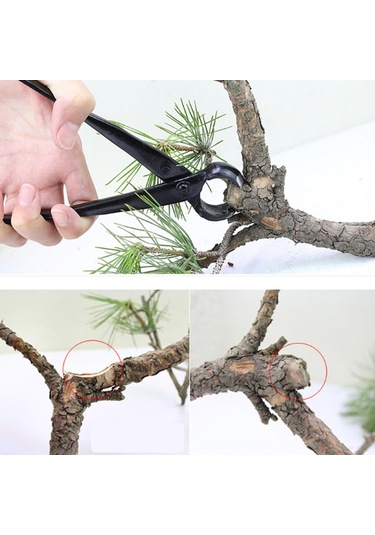Profesyonel Bahçecilik Stil Bakım Araçları Bonsai Top Düğüm Makası Dal Yuvarlak Pense Saksı Ağaç Düğme Kesici Siyah