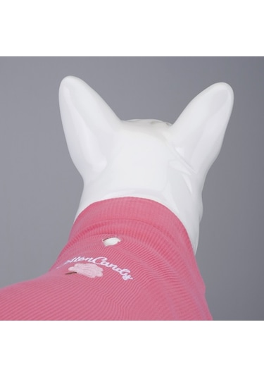 Flex Cotton Candy Küçük Ve Orta Irk Köpek Tshirt