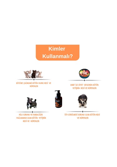 Pet Trust Herbal Pet Care Organik Somon Yağı 100 ML