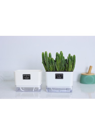 Otomatik Sulamalı Dikdörtgen Akıllı Saksı 25 X 12.5 X 14 Cm