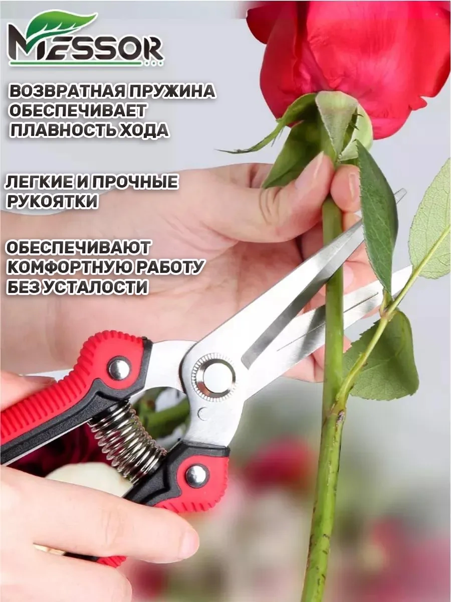 Messor Çiçekler Ve Bitkiler İçin Evrensel Bahçe Makası 175848881