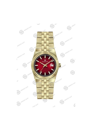 Momentus Women's Shiny Star Cs264g-14sg Gümüş