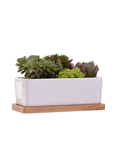 Yifomall Beyaz Seramik Dikdörtgen Saksı - Bambu Tepsi İle Minimalist Sukulent Ve Çiçek Saksısı
