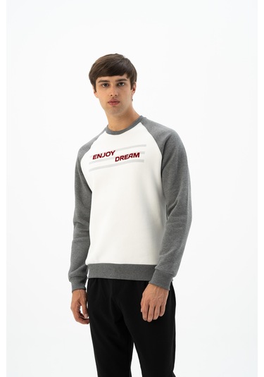 Arma Erkek Büyük Beden Bisiklet Yaka Sweatshirt K24124884401 Ekru Arma Erkek Büyük Beden Bisiklet Yaka Sweatshirt K24124884401 Ekru