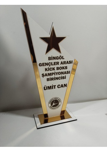 Plaket Karete/boks/judo/muay Thai/kick Boks Turnuvaları Altın
