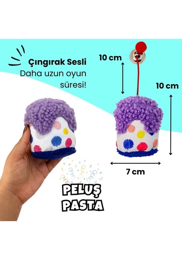 Kedi Parti Kutusu  4'lü Set