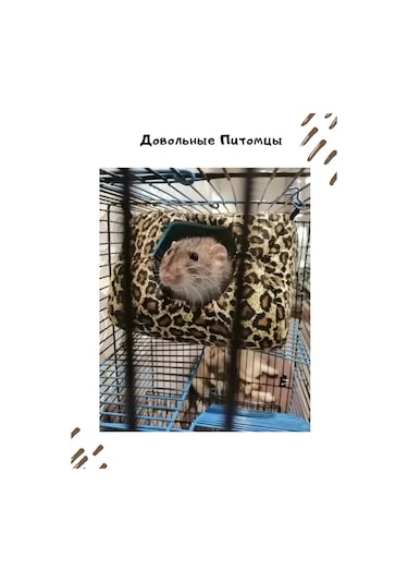 Zverusa Fareler Ve Kemirgenler İçin Yumuşak Askılı Kandang Hamak Evi 169075236