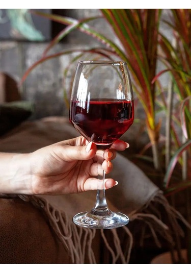 Pasabahce 400 Ml Şarap Bardakları 6'lı Cam Set 12160169 Beyaz