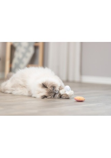 Trixie Kedi Oyuncağı, Dondurma Ve Kek Şeklinde, Peluş, Kediotlu 7cm