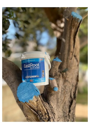 Fırça Hediye 2 Adet Aşı Budama Macunu 1000 Gram 1 Kg 1 Kilo K...