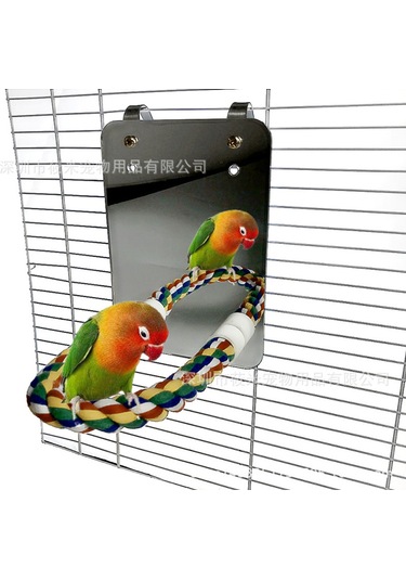 Shineyee Halatlı Tünek Kuş Aynası Kafes Kuş Kafesi Standları İçin Kuş Aynası-6