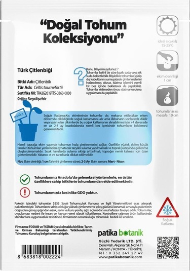 10 Adet Türk Çitlenbiği Ağaç Tohumu