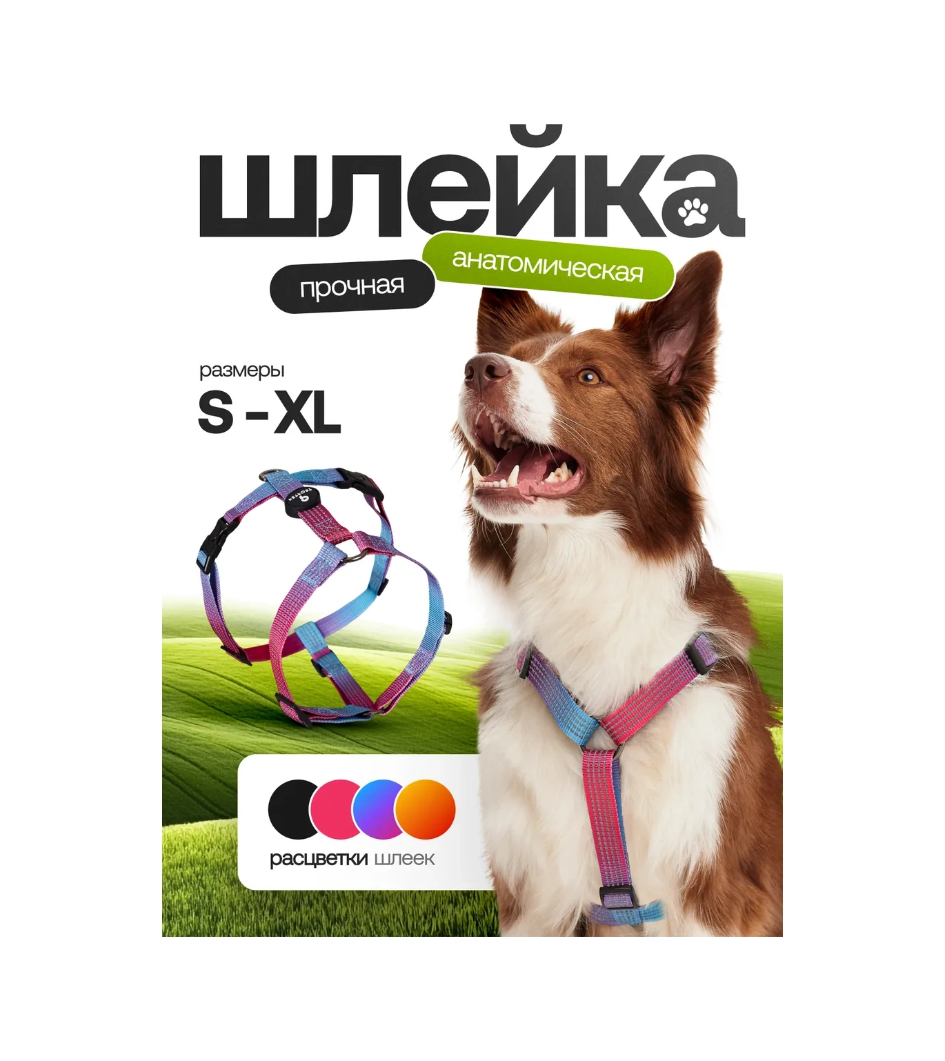 Petfort Köpekler İçin Anatomik Tasma 431185165