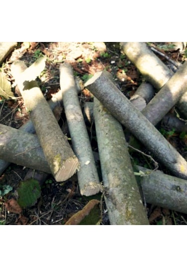 Kuru Fındık Odunu-20 Kg