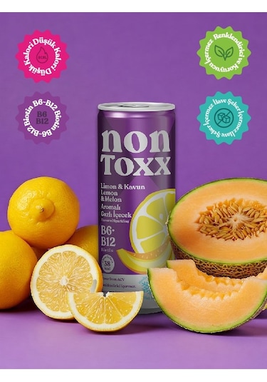 Nontoxx Limon & Kavun Aromalı, Sirkeli, Gazlı İçecek 250 Ml