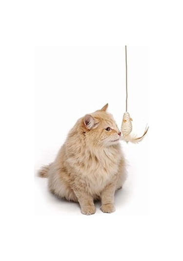 M-pets Natura Olta Kedi Oyuncağı 35 Cm 244-50130.01