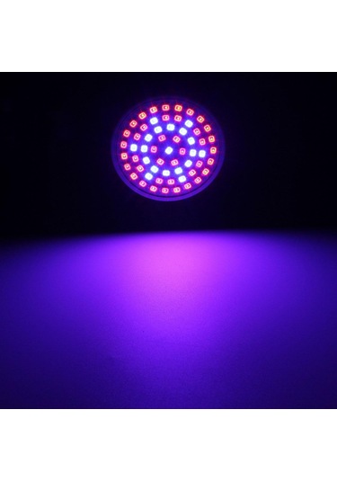 E27 5w 60 Led 2835 Smd Grow Ampul Lamba Bahçe Tesisi Çiçekli Hidroponik E27 80leds