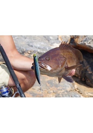 Duo Rough Trail Malice 130 Cha0114 / Clear Anchovy