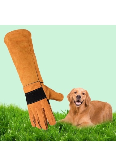 Trendooze Homyl Hayvan Eldivenleri, Anti-çizme, Dayanıklı