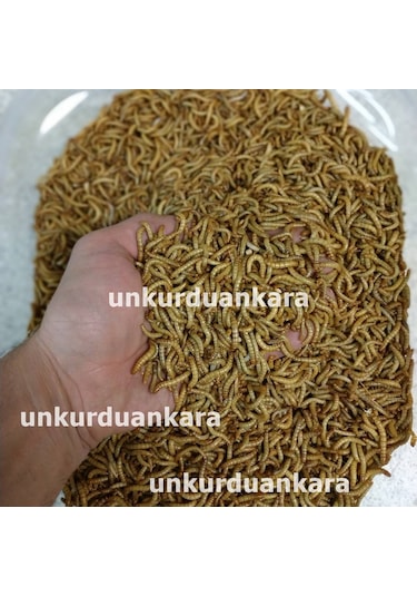Un Kurdu 100 Gram