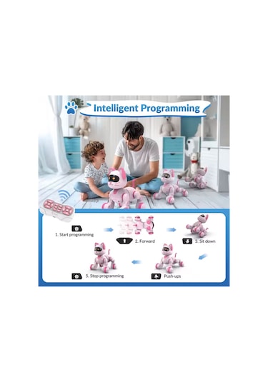Uzaktan Kumandalı Ses Kontrollü Programlanabilir Akıllı Robot Kedi